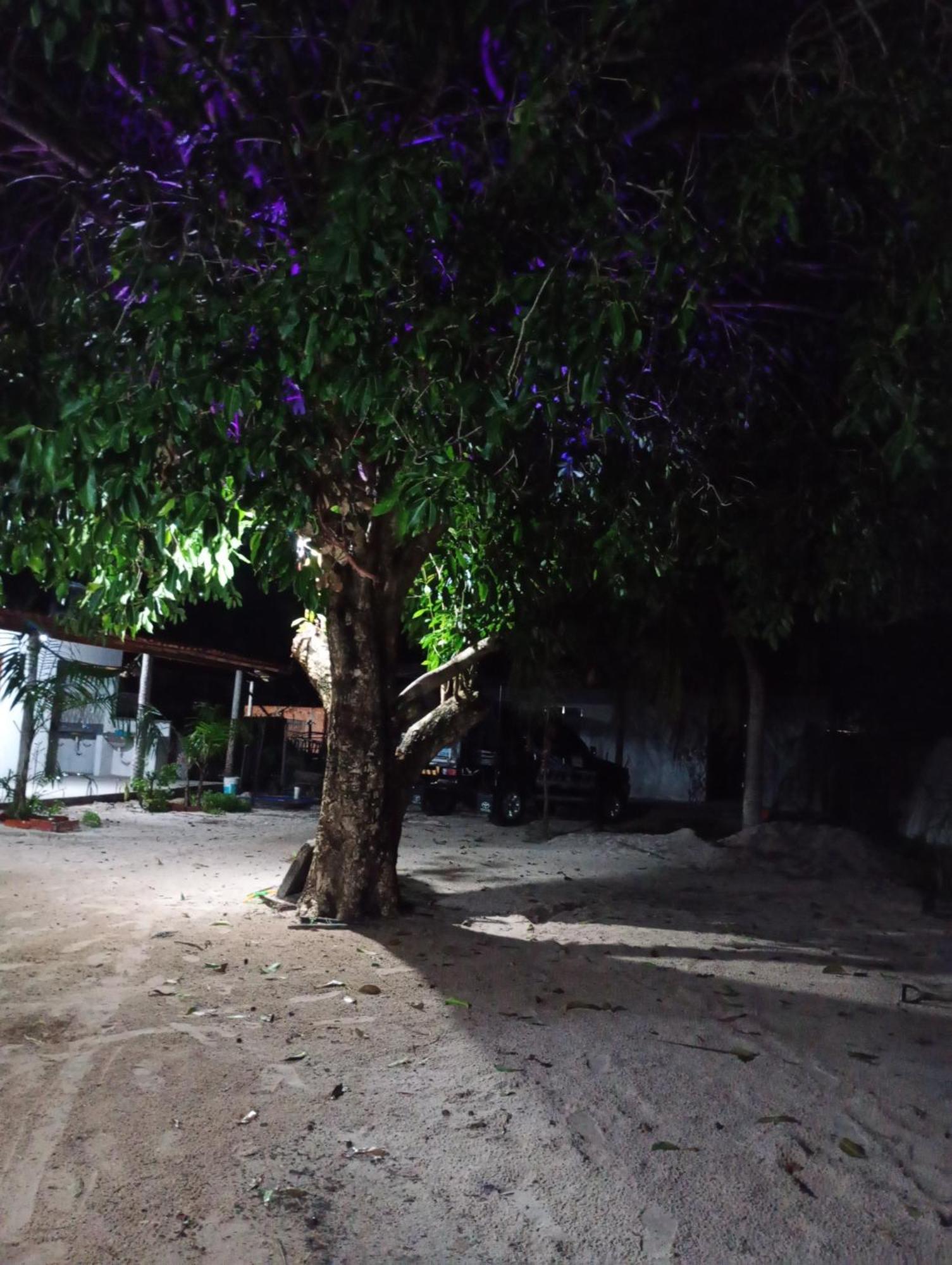 Hostel E Camping Na Rua Das Flores Santo Amaro do Maranhao Extérieur photo