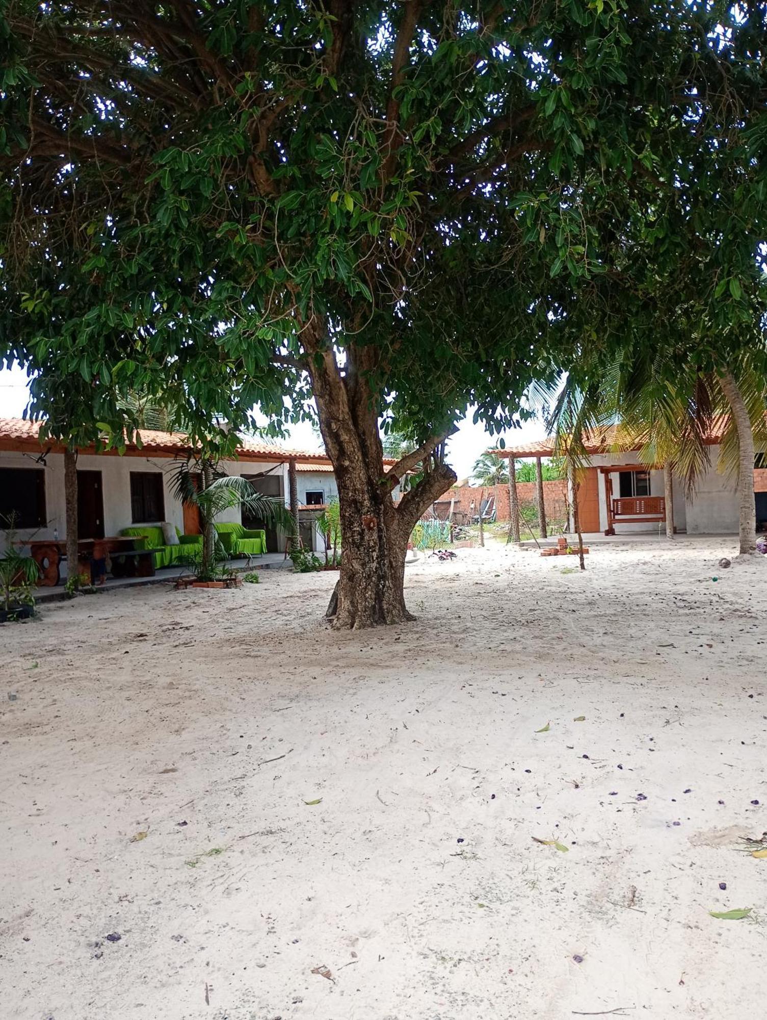 Hostel E Camping Na Rua Das Flores Santo Amaro do Maranhao Extérieur photo