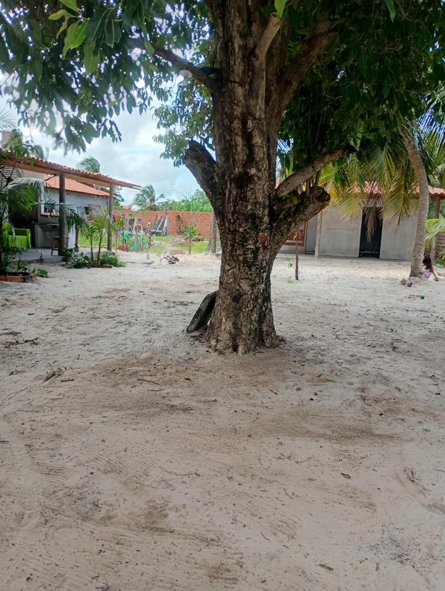 Hostel E Camping Na Rua Das Flores Santo Amaro do Maranhao Extérieur photo